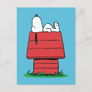 Peanuts   Snoopy Napping Postcard