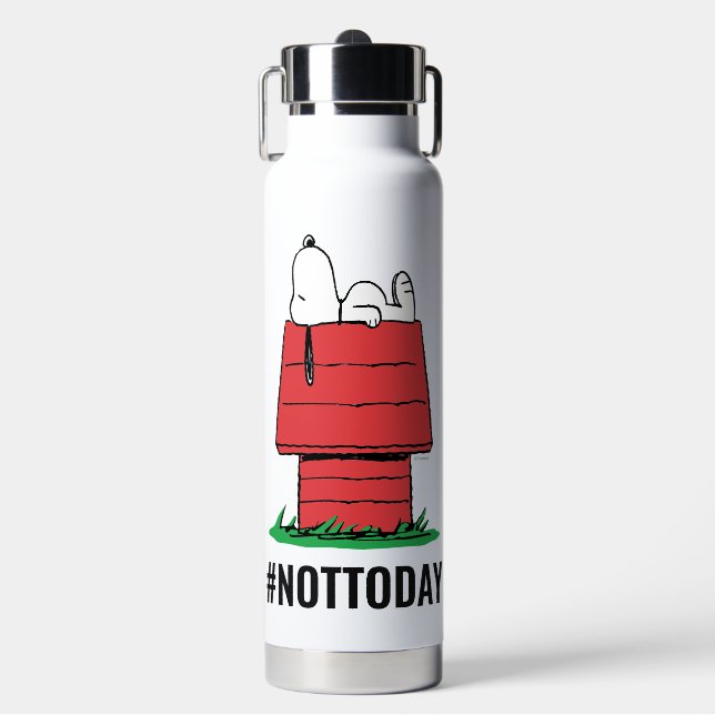 Peanuts | Snoopy Napping Water Bottle (Front)