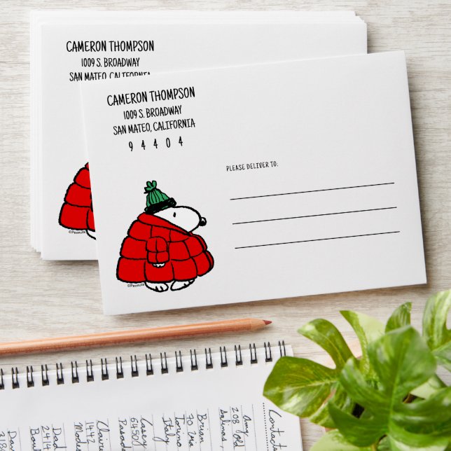 Peanuts | Snoopy Red Puffer Jacket Envelope (Stacked)