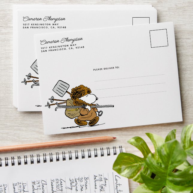 Peanuts | Snoopy Snow Warrior Envelope (Stacked)