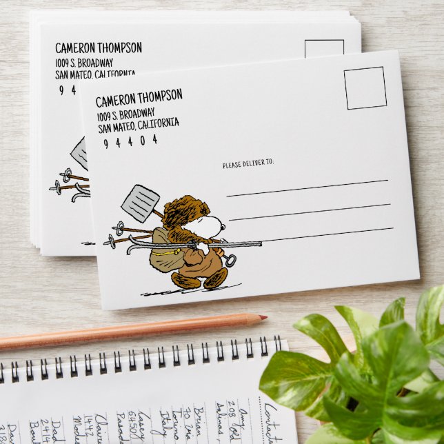 Peanuts | Snoopy Snow Warrior Envelope (Stacked)