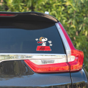 Peanuts   Snoopy the Flying Ace