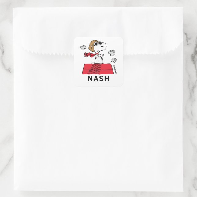 Peanuts | Snoopy the Flying Ace Square Sticker (Bag)
