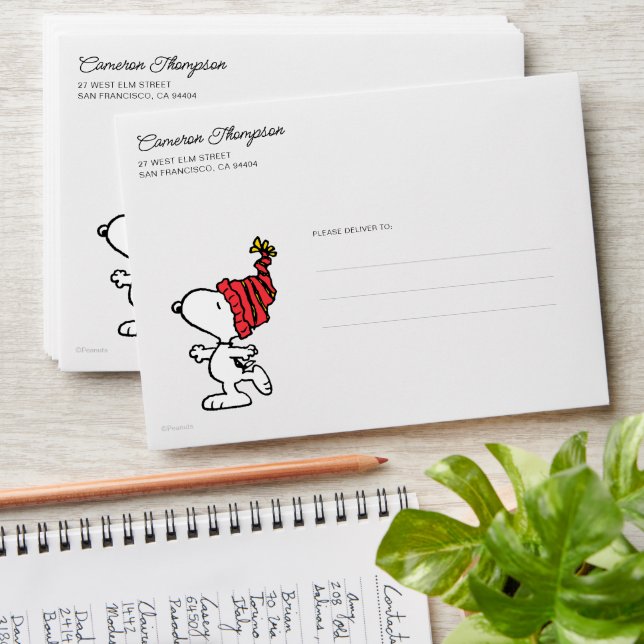 Peanuts | Snoopy Winter Beanie Cap Envelope (Stacked)