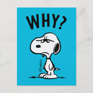 Peanuts   Snoopy Wonders Why? Postcard