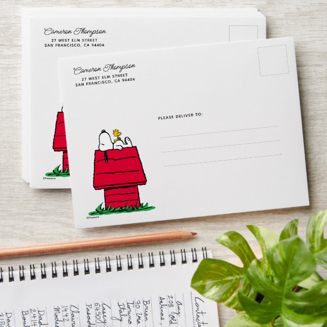 Peanuts | Snoopy & Woodstock Doghouse Envelope (Stacked)