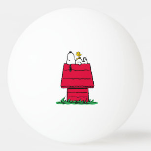 Peanuts Snoopy & Woodstock Doghouse Ping Pong Ball