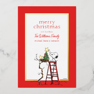 Peanuts   Snoopy & Woodstock Family Photo Foil Holiday Card