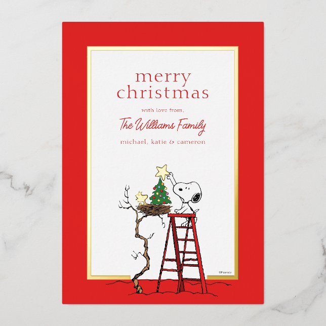 Peanuts | Snoopy & Woodstock Family Photo Foil Holiday Card (Front)