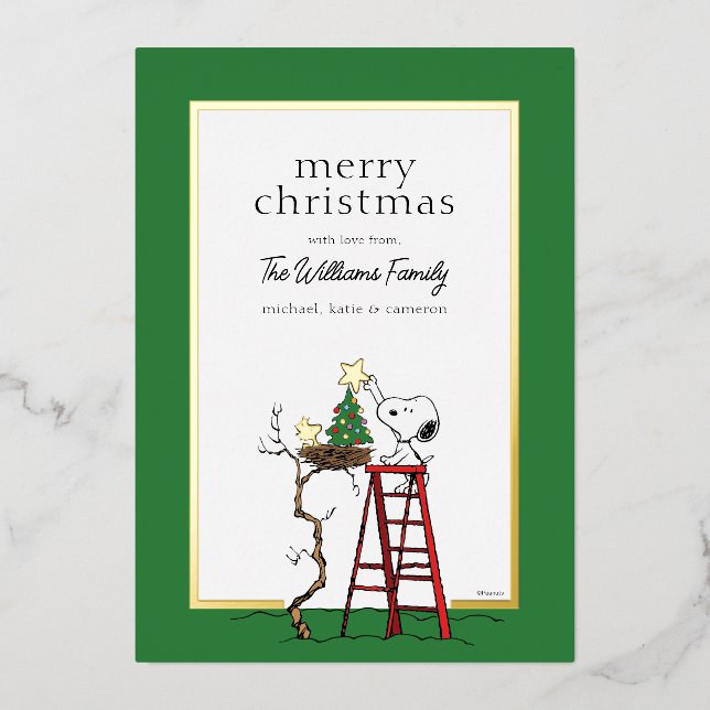 Peanuts | Snoopy & Woodstock Family Photo Foil Holiday Card (Front)