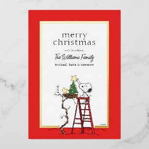 Peanuts Snoopy & Woodstock Family Photo Foil Holiday Card
