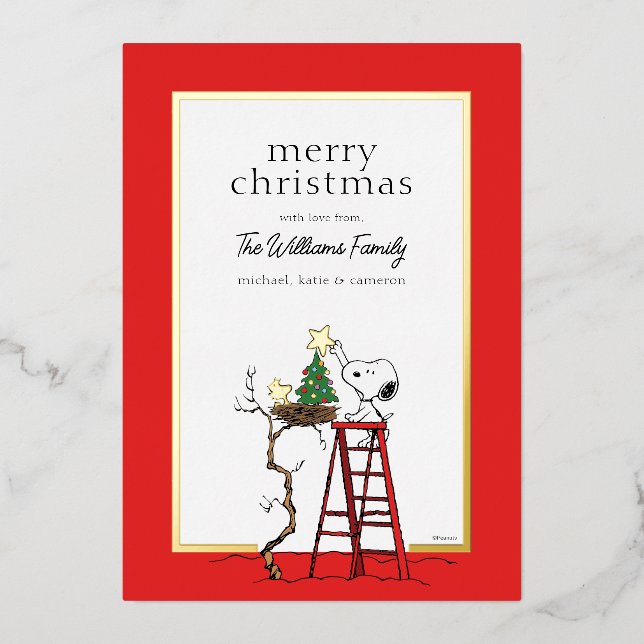 Peanuts | Snoopy & Woodstock Family Photo Foil Holiday Card (Front)
