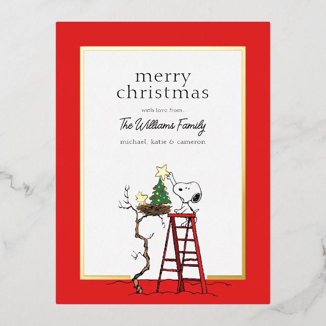 Peanuts | Snoopy & Woodstock Family Photo Foil Holiday Postcard (Front)