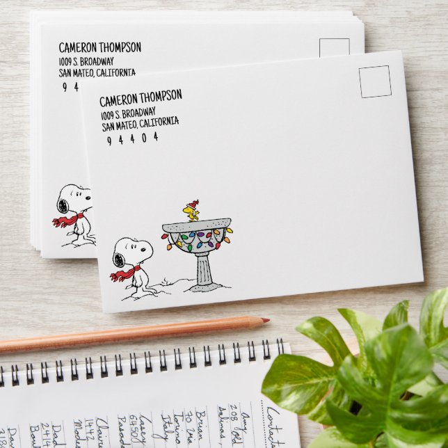 Peanuts | Snoopy & Woodstock Frozen Birdbath Envelope (Stacked)