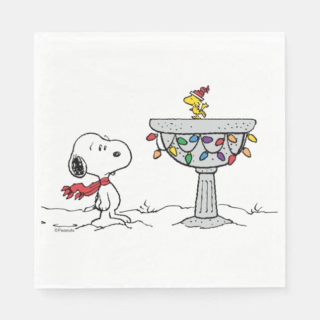 Peanuts | Snoopy & Woodstock Frozen Birdbath Napkin (Front)
