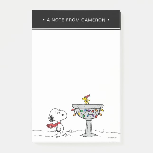 Peanuts | Snoopy & Woodstock Frozen Birdbath Post-it Notes (Front)