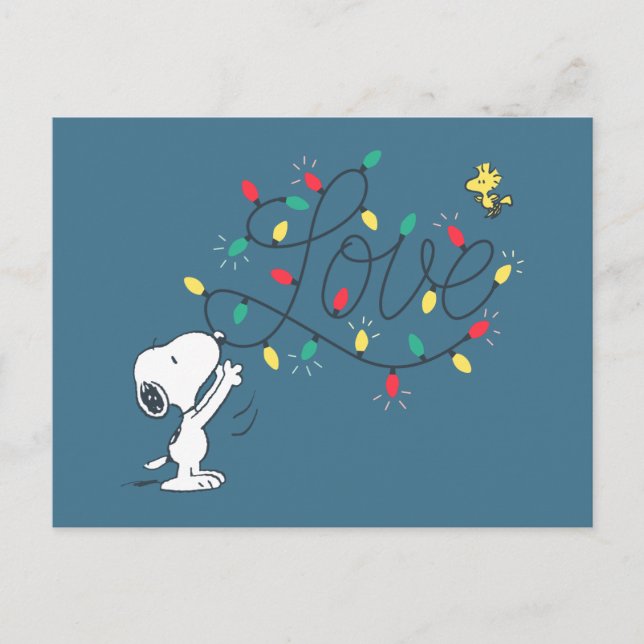Peanuts | Snoopy & Woodstock Holiday Decorating (Front)