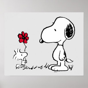 Peanuts   Snoopy & Woodstock Red & Black Poster