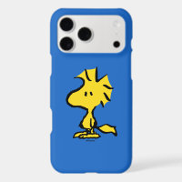 Peanuts | Snoopy's Friend Woodstock