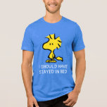 Peanuts | Snoopy's Friend Woodstock Tri-Blend Shirt<br><div class="desc">Snoopy's best friend and sidekick is featured in this cute Peanuts design.</div>