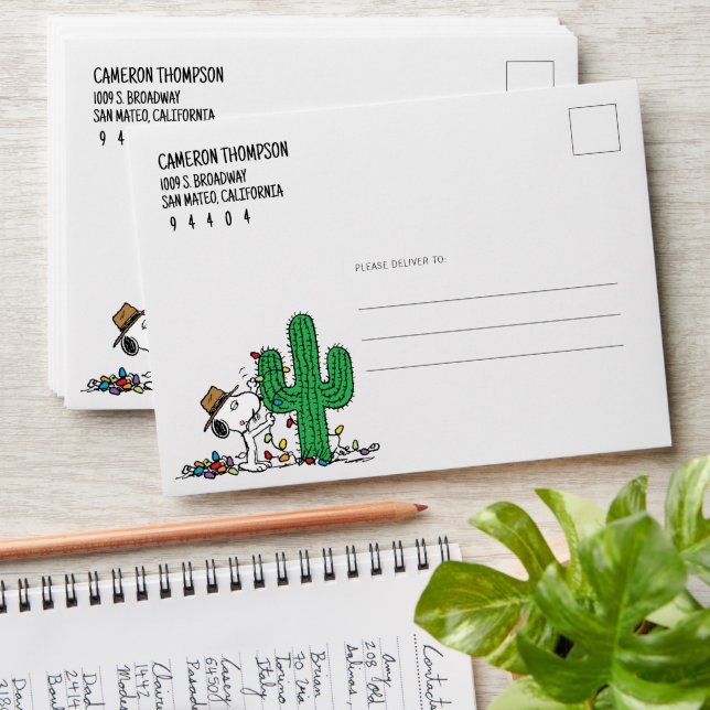 Peanuts | Spike Decorates for Christmas Envelope (Stacked)