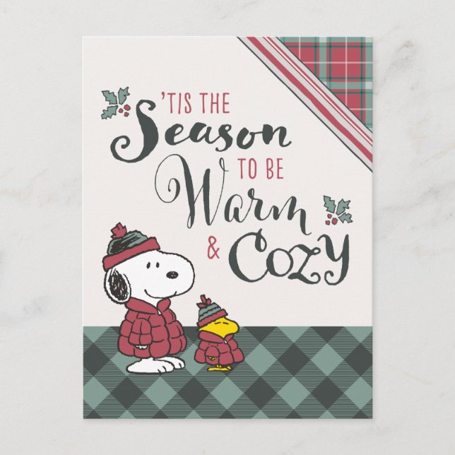 Peanuts | Tis the Season To Be Cosy Postcard (Front)