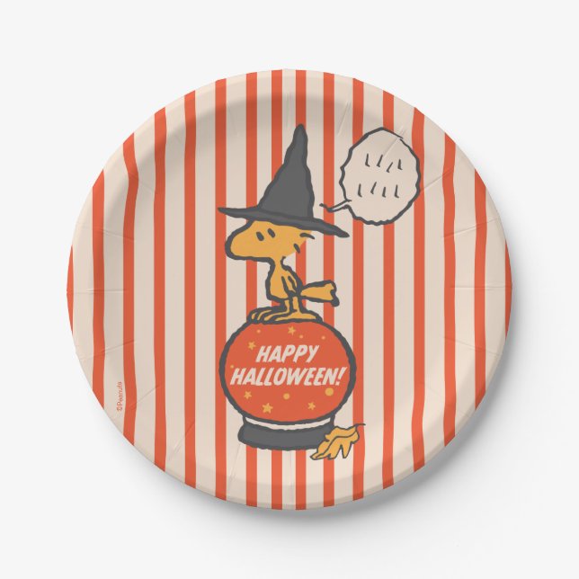 Peanuts | Vintage Woodstock Witch Stripes Paper Plate (Front)