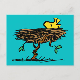 Peanuts   Woodstock Napping Postcard