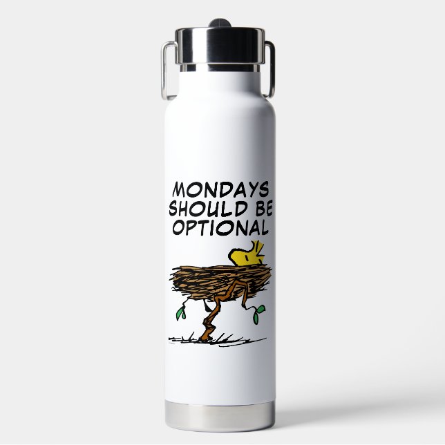 Peanuts | Woodstock Napping Water Bottle (Front)