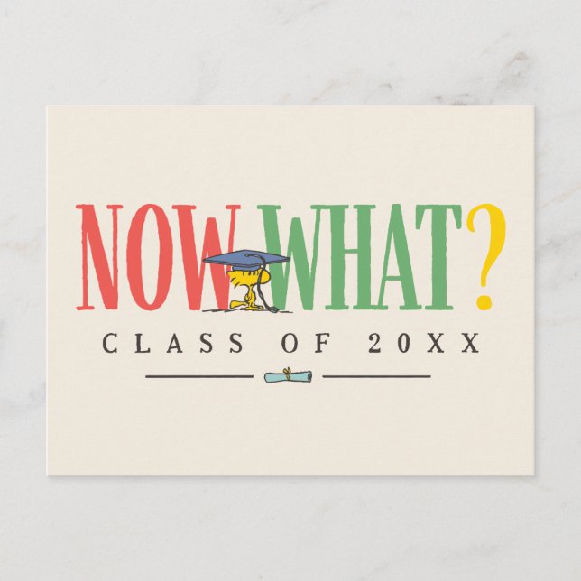 Peanuts Woodstock Now What Graduation Funny Quote Postcard (Front)