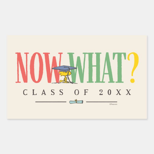 Peanuts Woodstock Now What Graduation Funny Quote Rectangular Sticker (Front)