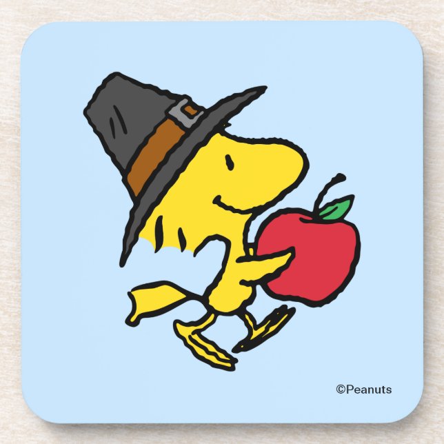 Peanuts | Woodstock Pilgrim Coaster (Front)