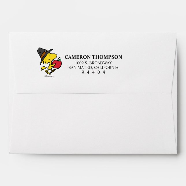 Peanuts | Woodstock Pilgrim Envelope (Back (Top Flap))