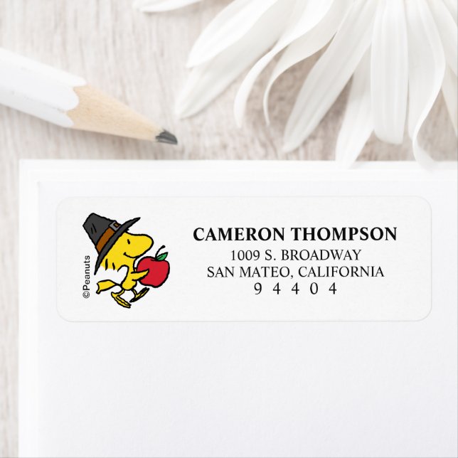Peanuts | Woodstock Pilgrim Return Address Label (Insitu)