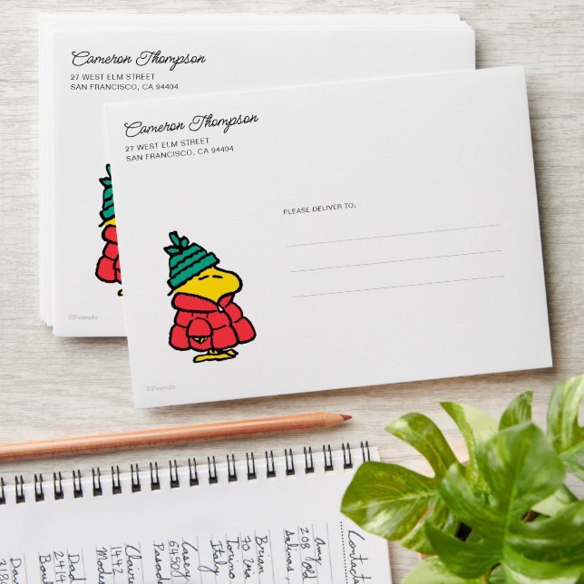 Peanuts | Woodstock Puffy Winter Jacket Envelope (Stacked)