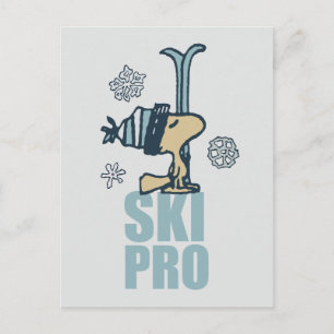 Peanuts   Woodstock Ski Pro Postcard