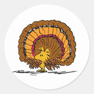 Peanuts   Woodstock Turkey Classic Round Sticker