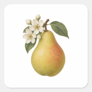 Pear and White Blossoms Square Sticker