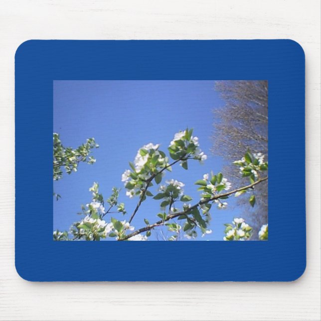 Pear Blooms In Deep Blue Sky Mouse Pad (Front)