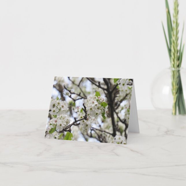 Pear Blossom Note Card  (Front)
