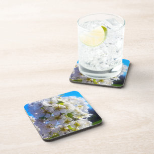  Pear Blossoms  Coaster