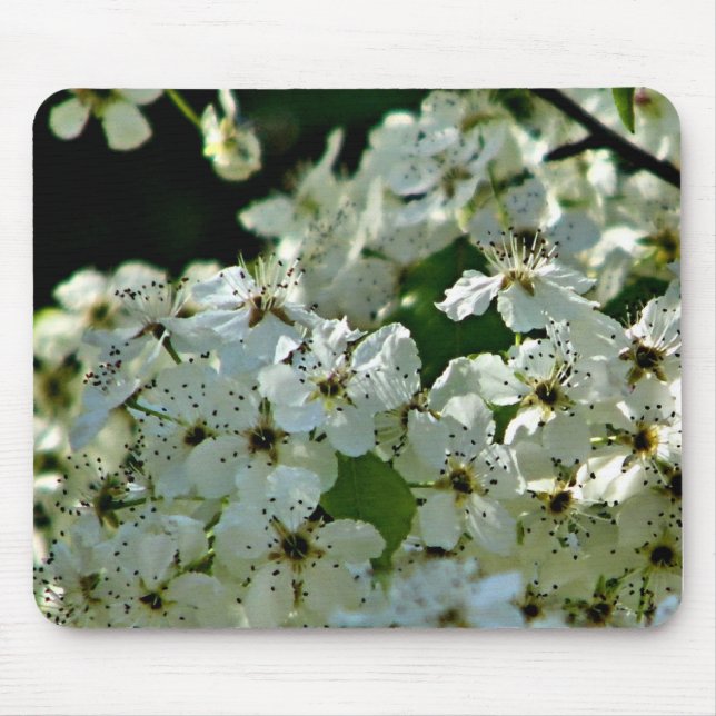 Pear Blossoms in bloom Mouse Pad (Front)
