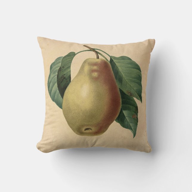 Pear Botanical Illustration Cushion (Front)