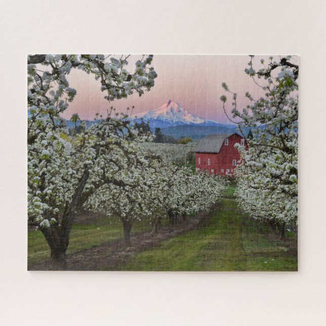 Pear Orchard in Bloom with Barn near Mount Hood Jigsaw Puzzle (Horizontal)