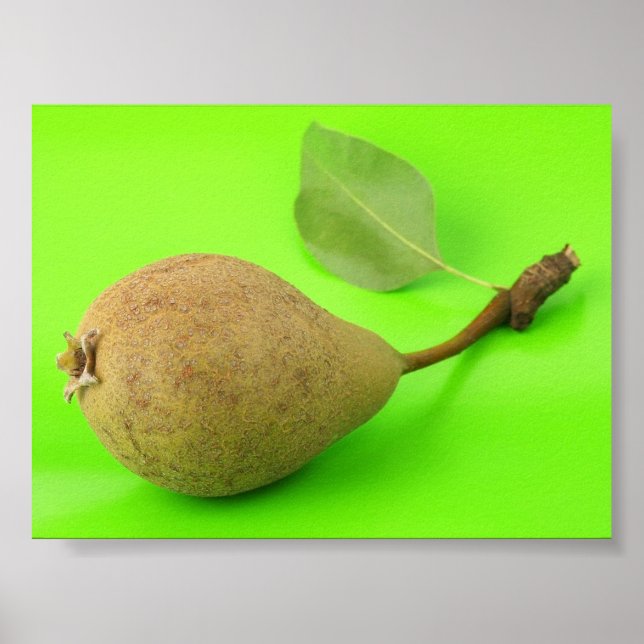Pear Poster (Front)