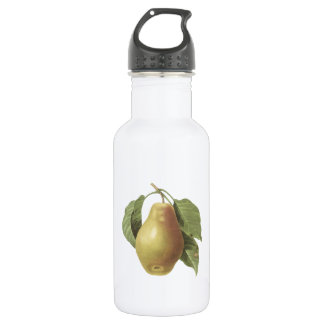 pear(Pyrus sp.) by Redouté 532 Ml Water Bottle