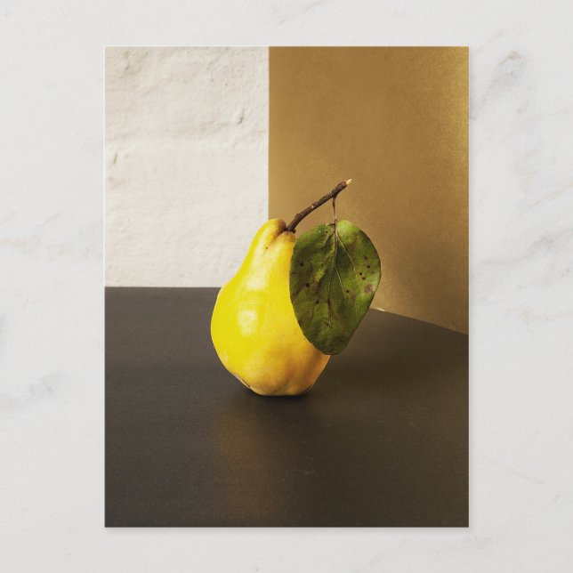 Pear Still Life postcard (Front)