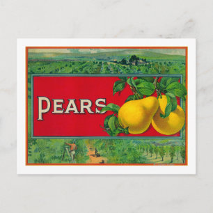 Pear Stock Crate Label Postcard