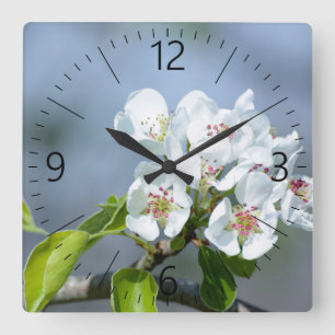 Pear tree blooming square wall clock