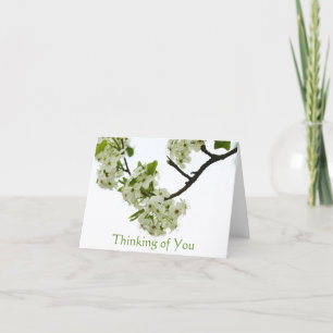 Pear Tree Branch Thinking of You, Blank Inside Card
